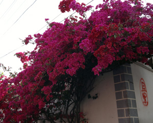 會(huì)東縣七個(gè)鄉(xiāng)鎮(zhèn)污水處理廠（站）